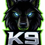 K9 Game APK