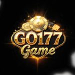 GO177 Game official logo for APK download and registration in Pakistan